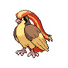 pidgeot